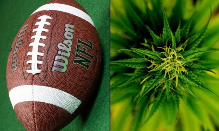 Ligi sportowe aktualizują zasady dotyczące marihuany w odpowiedzi na rosnący ruch legalizacyjny w 2024 roku – MEDCAN24