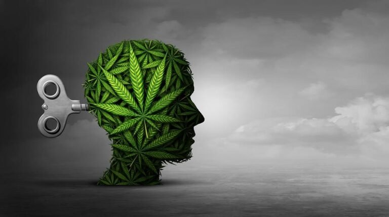 Dlaczego marihuana wpływa na każdego z nas inaczej? – MEDCAN24