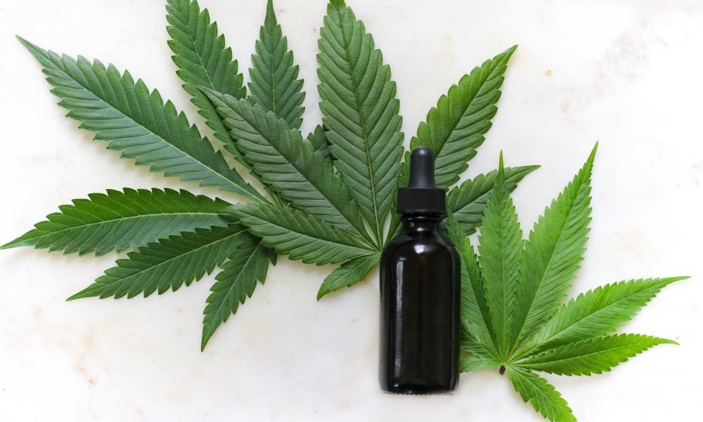 Badanie wykazało, że CBD może być przydatnym dodatkiem do produktów Badanie wykazało, że CBD może być przydatnym dodatkiem do produktów przeciwsłonecznych, do pielęgnacji włosów i do leczenia ran - MEDCAN24
