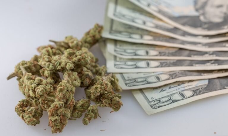 Gubernator Idaho podpisuje ustawę ustanawiającą obowiązkową minimalną grzywnę za posiadanie marihuany - MEDCAN24