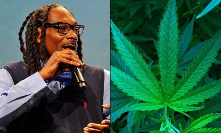 Snoop Dogg ponownie rozszerza imperium marihuany o nową linię bluntów po sędziowaniu konkursu rolowania w Vegas - MEDCAN24