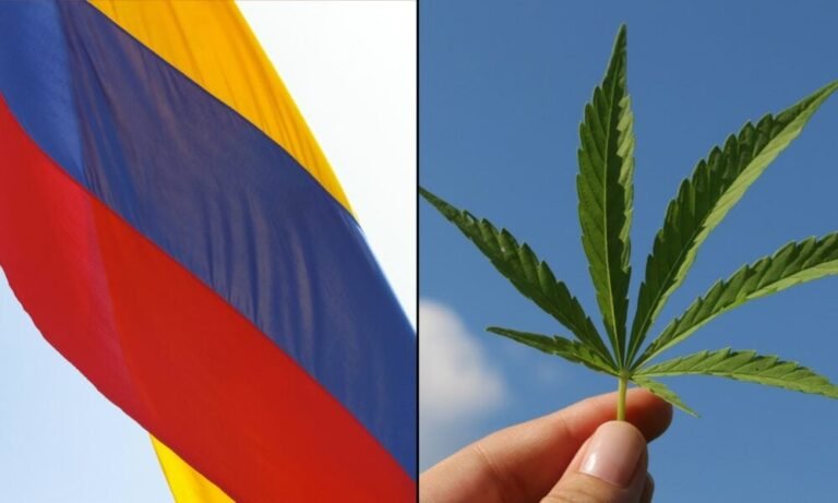 Prezydent Kolumbii wzywa ustawodawców do legalizacji marihuany w celu zwalczania przemocy karteli na nielegalnym rynku - MEDCAN24