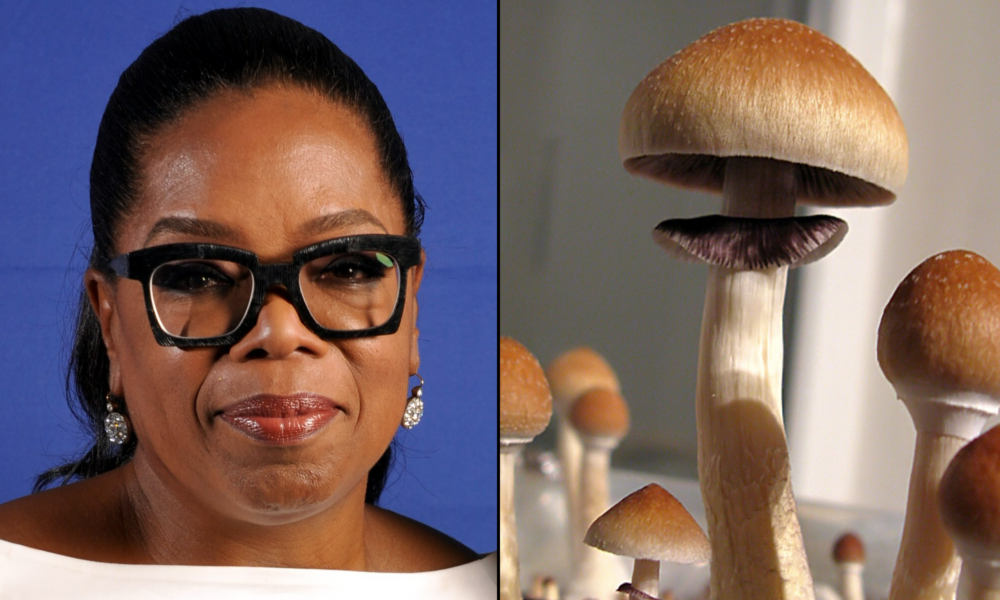 Oprah podkreśla kulturową 