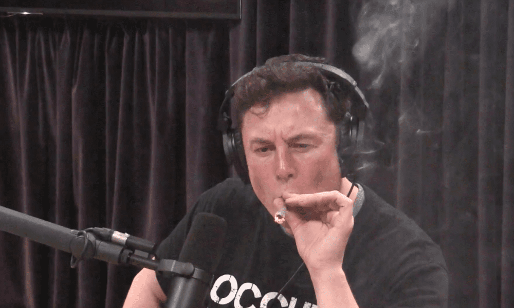 Elon Musk i Ted Cruz żartują z palenia marihuany, aby zwiększyć oglądalność podcastu - MEDCAN24