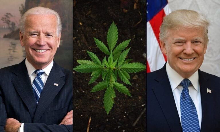 PAC przemysłu marihuany atakuje Bidena i Kanadę w nowych reklamach mających na celu odwołanie się do Trumpa - MEDCAN24