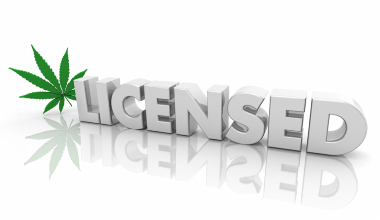 Nowy Jork wprowadza nową licencję na białe etykiety - MEDCAN24