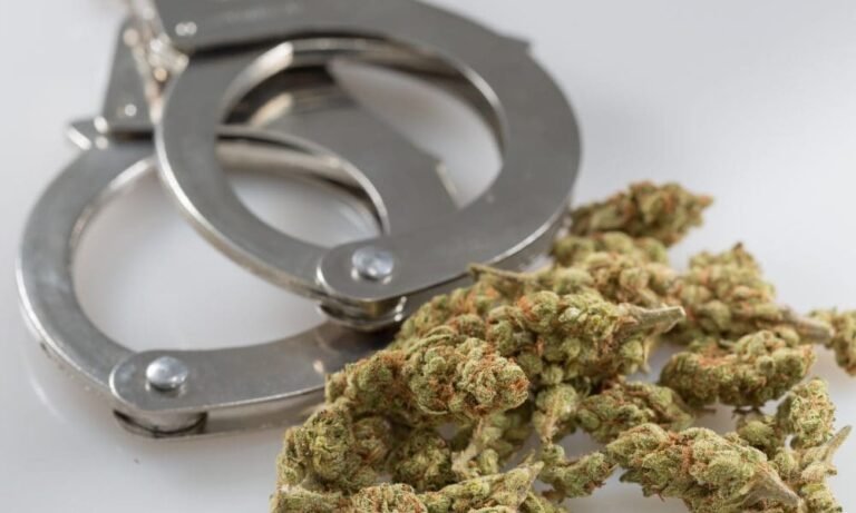 DEA przyspiesza rekrutację agentów do "walki z narkotykami", podczas gdy Trump i DOGE Muska tną federalną siłę roboczą w innych miejscach - MEDCAN24