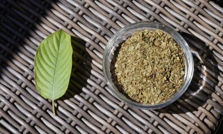 Ponieważ konsumenci Kratomu stają w obliczu globalnych zakłóceń na rynku, nadszedł czas, aby FDA przedłożyła bezpieczeństwo nad piętno (Op-Ed) - MEDCAN24