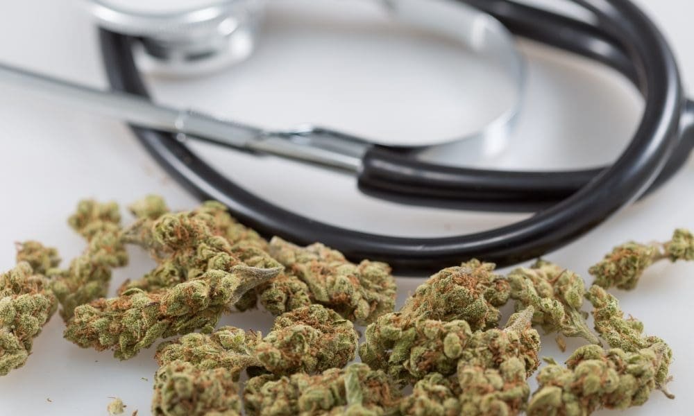Ustawodawcy z Karoliny Północnej złożyli projekt ustawy legalizującej medyczną marihuanę dla pacjentów z wyniszczającymi schorzeniami - MEDCAN24