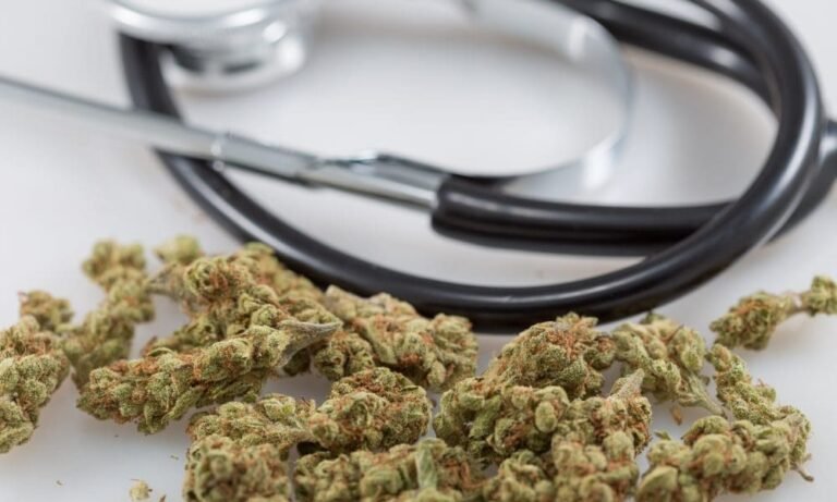 Legalizacja marihuany doprowadziła do wzrostu jej używania - ale do spadku jej problematycznego nadużywania, jak pokazuje badanie Amerykańskiego Stowarzyszenia Medycznego - MEDCAN24