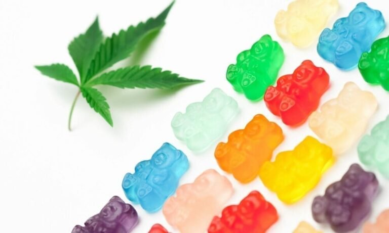 Komisja Izby Handlowej na Florydzie zatwierdza ustawę regulującą konopie, która nałożyłaby 15% podatek na wszystkie produkty THC - MEDCAN24