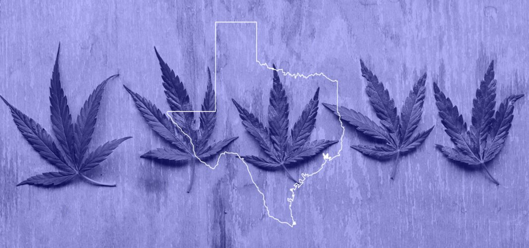 Zwolennicy konopi gromadzą się na Kapitolu w Teksasie, aby zaprotestować przeciwko proponowanemu zakazowi THC - MEDCAN24