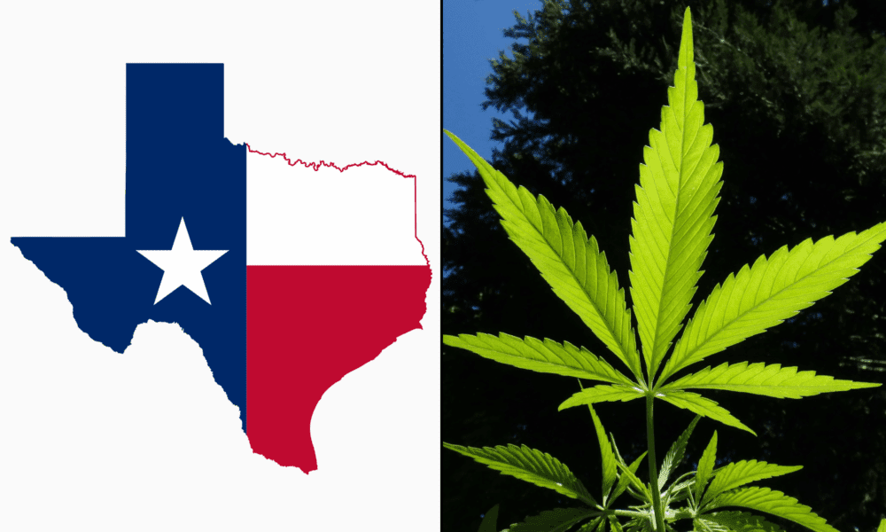 Texas House zatwierdza ustawę rozszerzającą dostęp do medycznej marihuany o nowe warunki, produkty i lokalizacje aptek
