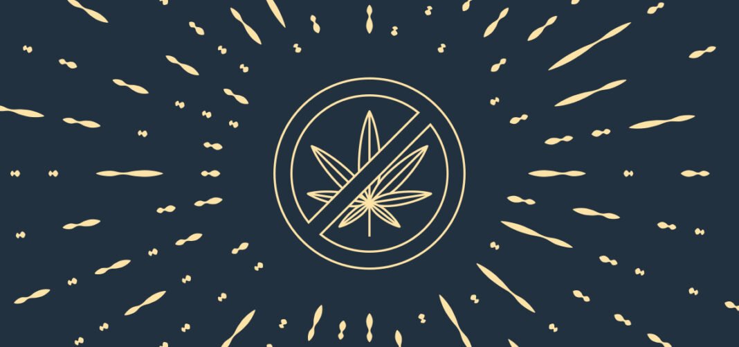 Republikańscy ustawodawcy zabijają przepisy dotyczące legalizacji marihuany w propozycji budżetu gubernatora Wisconsin