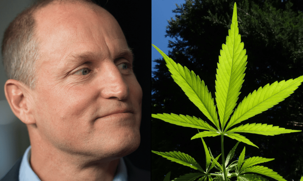 Włamanie do apteki z marihuaną Billa Mahera i Woody'ego Harrelsona