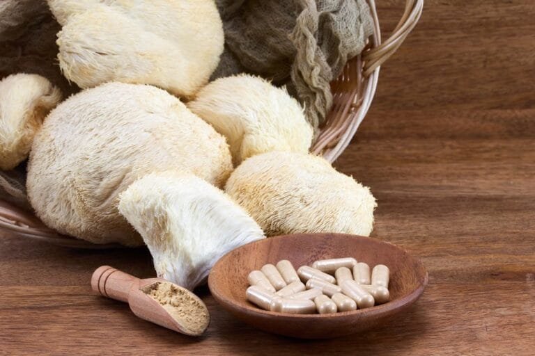 Lwia grzywa w Irlandii: Rosnąca rola naturalnego grzyba wzmacniającego mózg