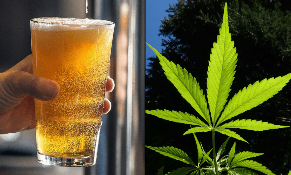 Gubernator Teksasu mówi ustawodawcom, aby regulowali produkty zawierające THC z konopi, takie jak alkohol, po zawetowaniu ustawy zakazującej większości kannabinoidów do konsumpcji.