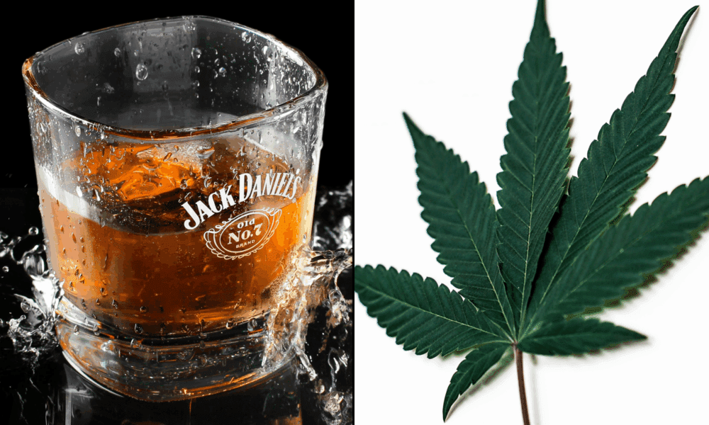 Legalizacja marihuany wywiera 