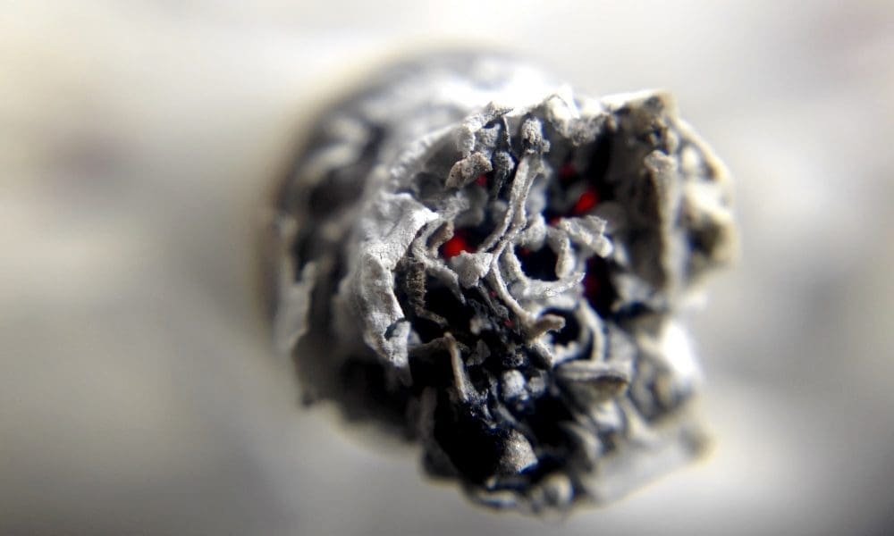Big Tobacco sprzedaje korporacyjny plan dotyczący konopi indyjskich jako mandat publiczny, mówi były regulator z Nowego Jorku (Op-Ed)