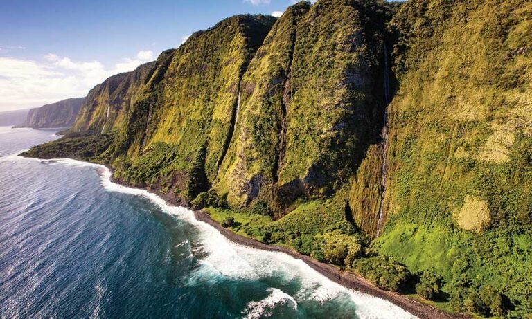 Hawaii's Finest