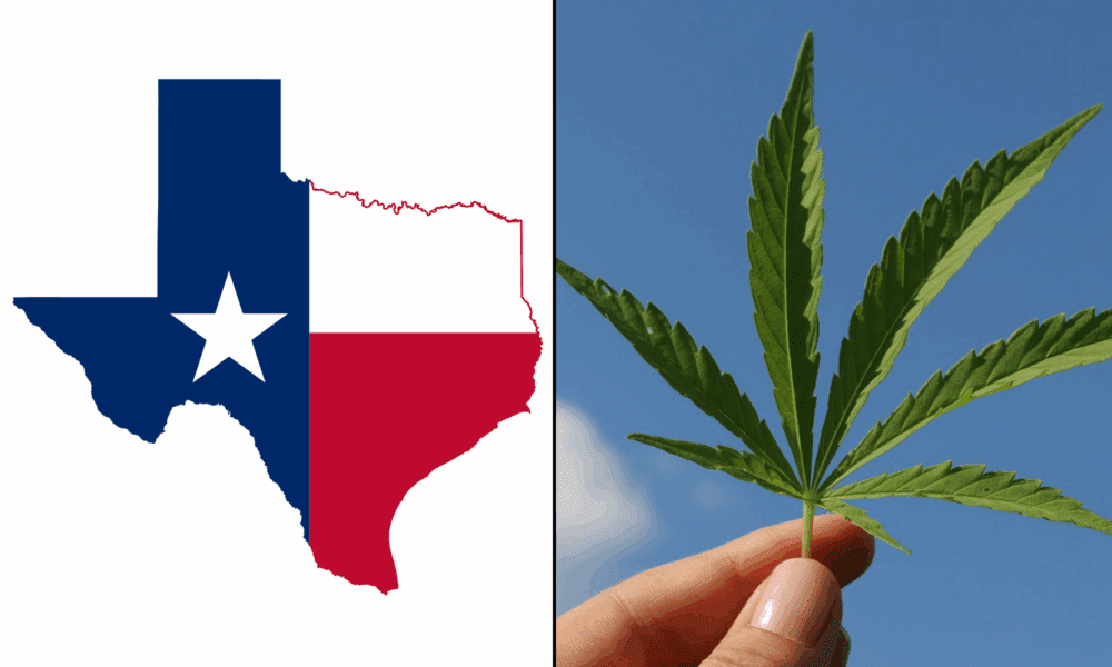 Projekt ustawy zakazującej produktów konopnych zawierających THC został złożony w Texas House, podczas gdy gubernator nadal wzywa do wprowadzenia odpowiednich przepisów