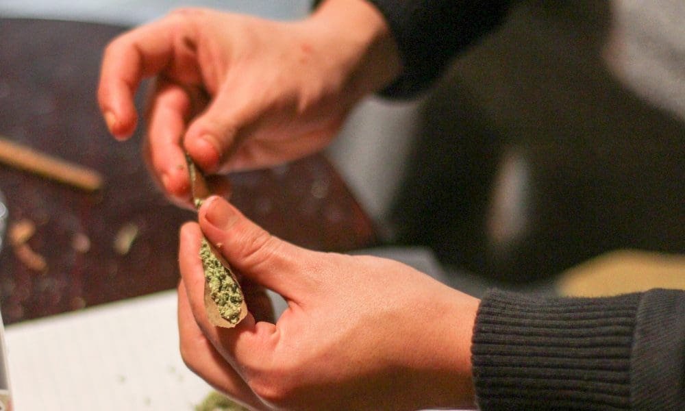Urzędnicy z New Jersey przyjmują teraz wnioski o przyjęcie do salonu konsumpcji marihuany ze wszystkich aptek