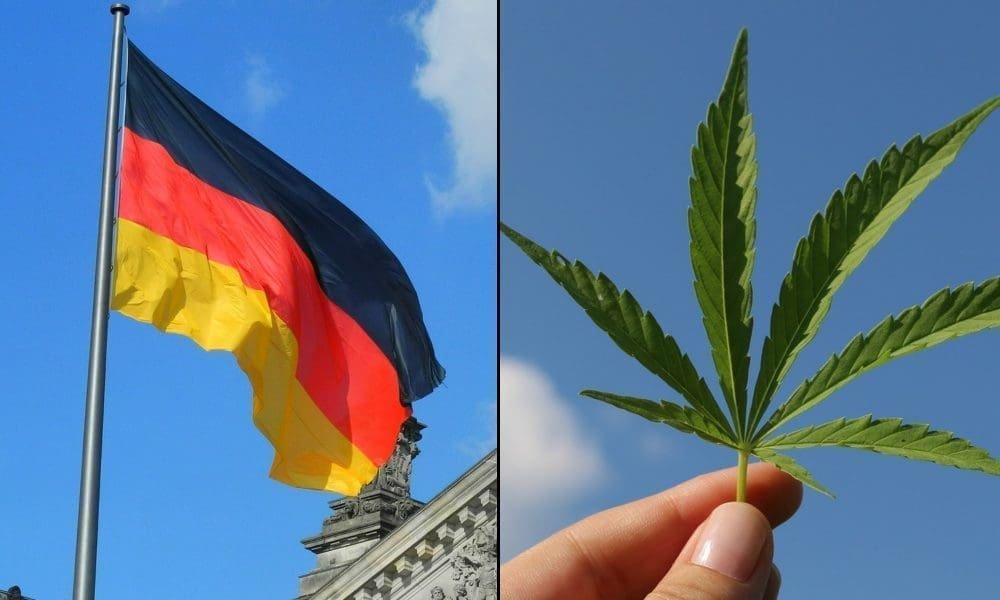 Nowe niemieckie ograniczenia dotyczące medycznej marihuany zaszkodzą pacjentom i utrudnią rozwój branży (Op-Ed)