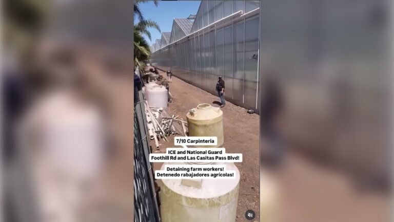 Naloty ICE na dwie farmy marihuany Glass House stawiają protestujących przeciwko gumowym kulom i granatom dymnym