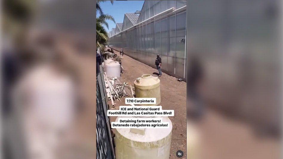 Naloty ICE na dwie farmy marihuany Glass House stawiają protestujących przeciwko gumowym kulom i granatom dymnym