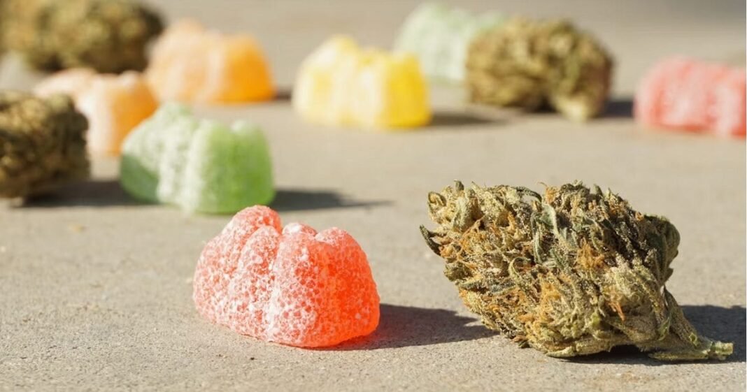 Badanie wykrywa THC w oddechu po spożyciu jadalnych konopi indyjskich