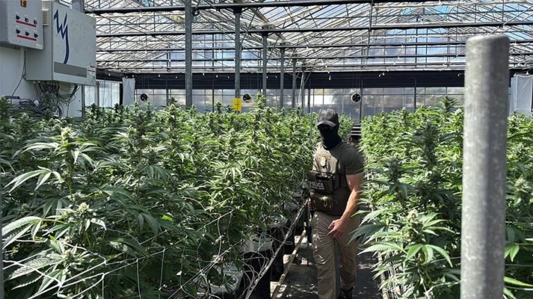 Glass House spodziewa się spadku przychodów i rentowności po nalotach ICE