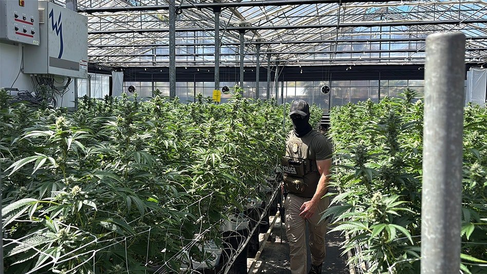 Glass House spodziewa się spadku przychodów i rentowności po nalotach ICE