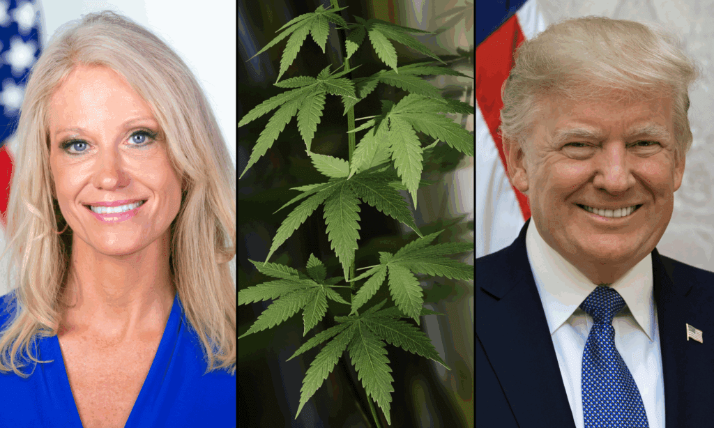 Były doradca Trumpa, Kellyanne Conway, jest 