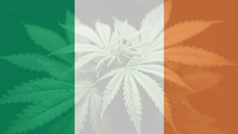 Dr. Hemp Me' kompletny przewodnik 2025 po oleju CBD w Irlandii
