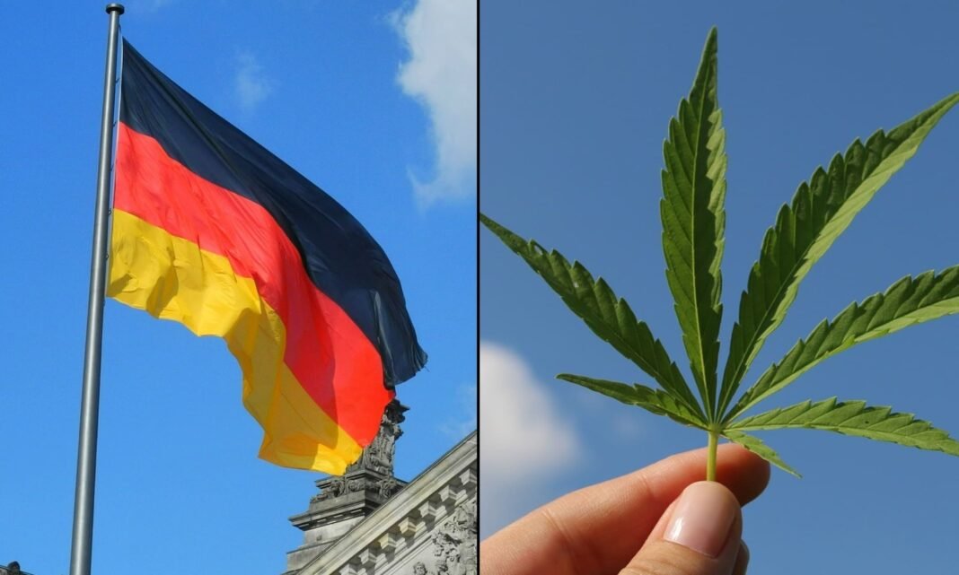 Używanie marihuany przez nastolatków w Niemczech spadło po legalizacji rekreacyjnej, jak pokazuje badanie rządowe