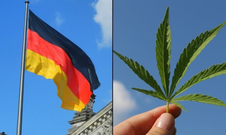 Używanie marihuany przez nastolatków w Niemczech spadło po legalizacji rekreacyjnej, jak pokazuje badanie rządowe