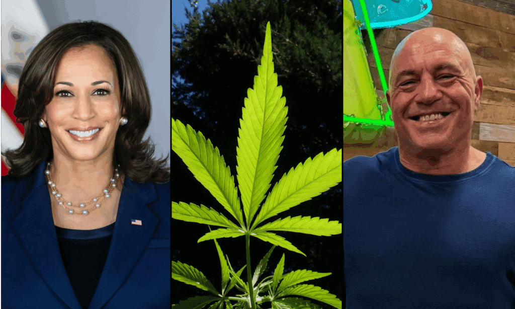 Kamala Harris mówi, że Joe Rogan 