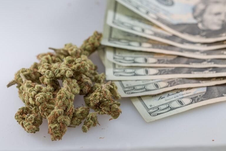 Ustawodawcy stanu Michigan uchwalają podwyżkę podatku od marihuany, która ma przynieść 420 milionów dolarów nowych przychodów każdego roku