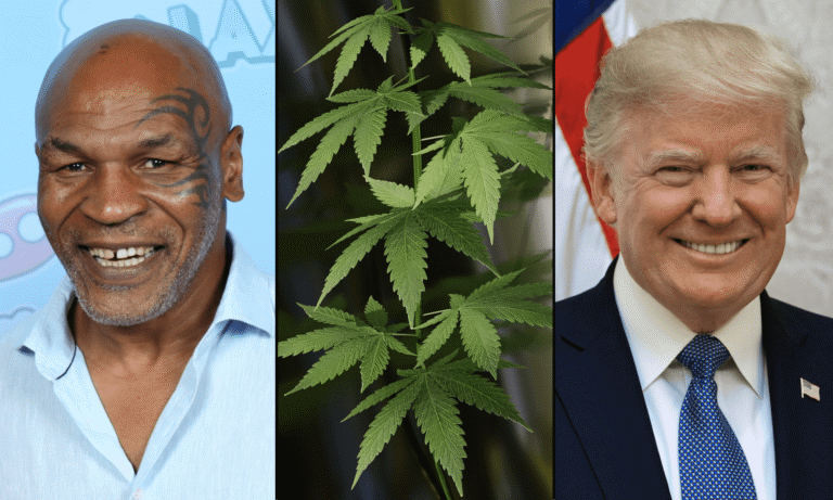 Mike Tyson spodziewa się "dobrych wiadomości" na temat zmiany przepisów dotyczących marihuany, mówi w podcastie prowadzonym przez żonę najwyższego urzędnika Trumpa