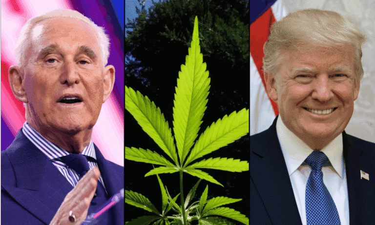Roger Stone mówi, że Trump może prześcignąć Demokratów, zmieniając przepisy dotyczące marihuany, gdy oni tego nie zrobili