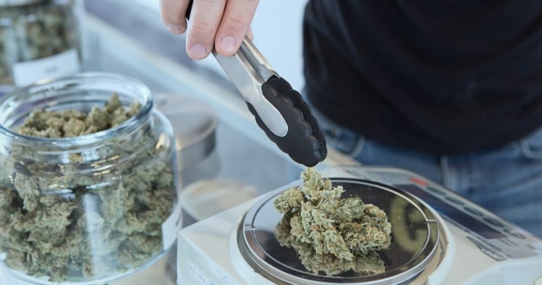 Wiktoriańscy liberałowie dążą do legalizacji marihuany rekreacyjnej
