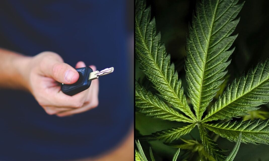Senat Ohio przyjmuje ustawę o marihuanie mającą na celu ochronę kierowców, którzy nie są na haju za kierownicą, przed oskarżeniem