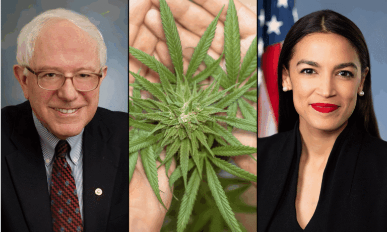 Bernie Sanders i AOC żartują na temat marihuany podczas transmitowanego w całym kraju spotkania w ratuszu