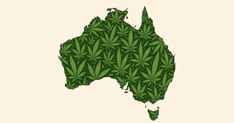 Australijska produkcja, import i eksport konopi indyjskich w 2024 r.
