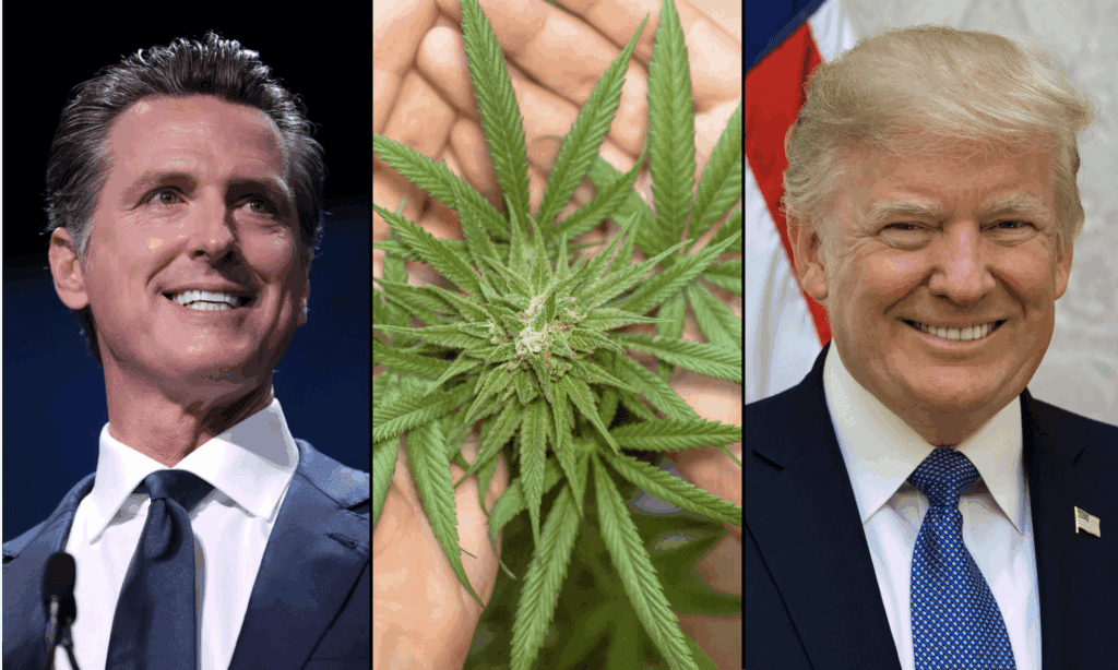 Gavin Newsom żartuje, że jako 