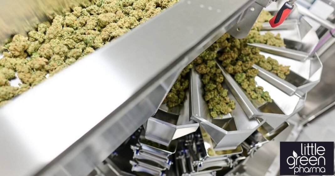 Little Green Pharma i Cannatrek łączą się