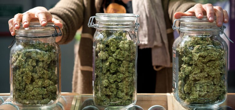 Idaho Medical Cannabis Campaign Says It Has Over 100,000 Signatures