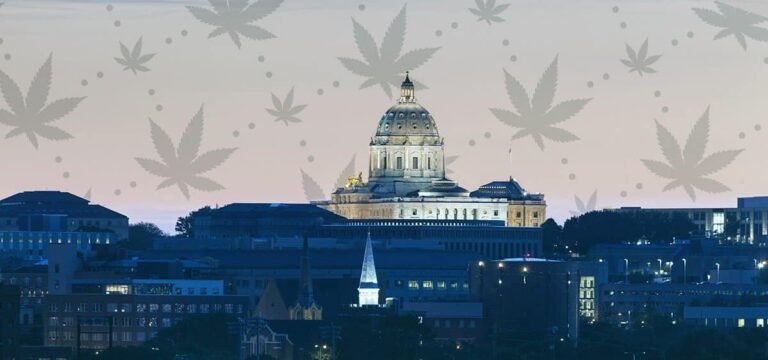 Ustawodawcy stanu Minnesota uchwalili ustawę dotyczącą konopi indyjskich, łączącą łańcuchy dostaw dla celów medycznych i rekreacyjnych